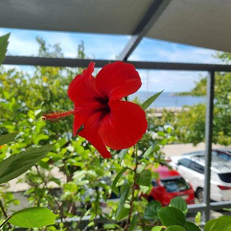 Apartman Ruza Podgora Luaran gambar