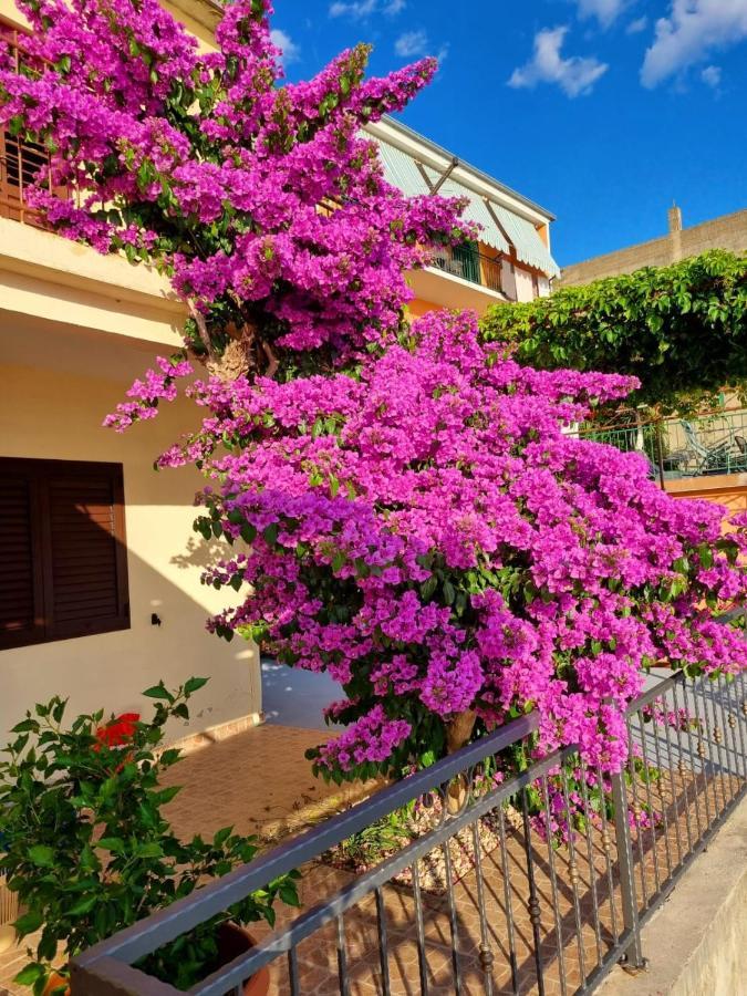 Apartman Ruza Podgora Luaran gambar